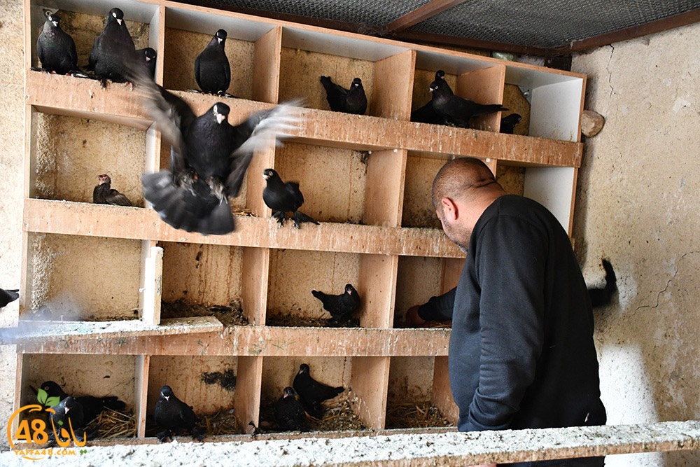 zohdi 3ashoor (43).jpeg